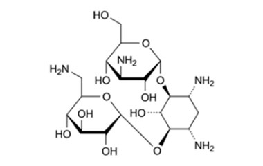 Amikacin EP Impurity D